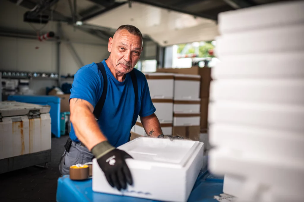 Arbeiten bei Wonsak Michael Timmermann